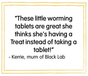 Veloxa Worming Tablets For Small and Medium Dogs 1 Tablet. Cheap